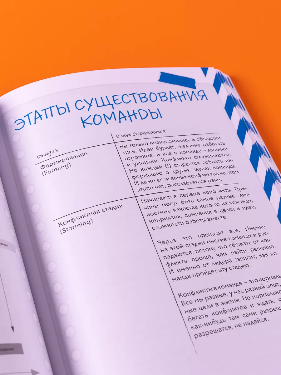 Командная работа: Запуск проекта любой сложности Альпина. Книги 204515709  купить за 593 ₽ в интернет-магазине Wildberries