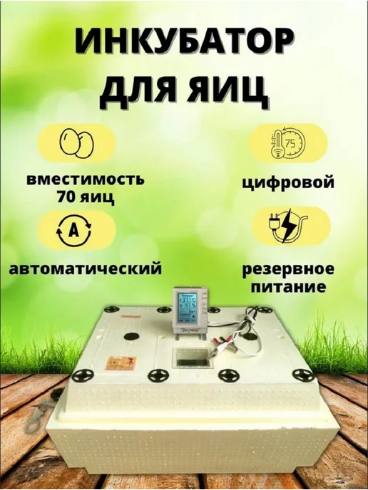 золушка Автоматический цифровой инкубатор для 70 яиц, 220 12В, бежевый, фото 2