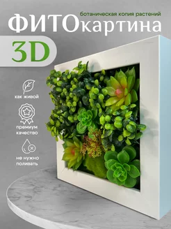 3D картина панно с мхом и искусственными цветами Conflate 204589597 купить за 1 061 ₽ в интернет-магазине Wildberries